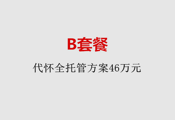 青岛B套餐：代怀全托管方案46万元